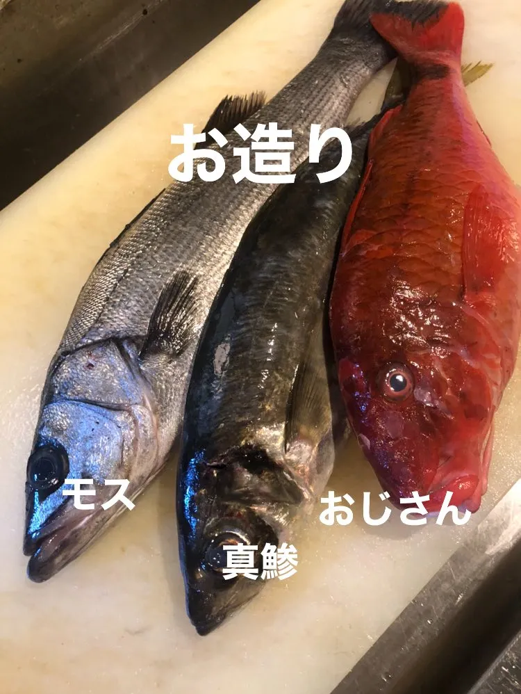 4/25仕入れ✨