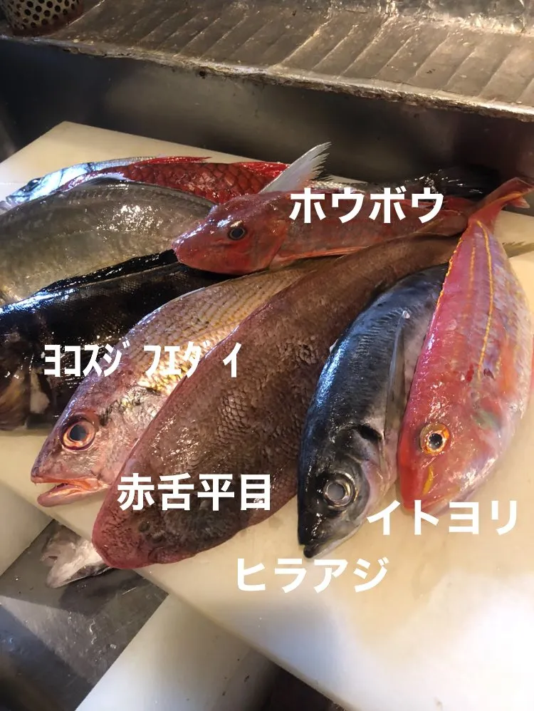 5/2仕入れ✨