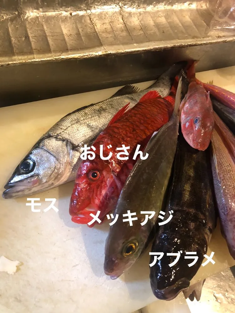 5/2仕入れ✨
