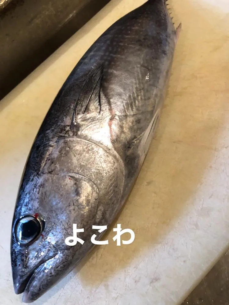 2/28仕入れ✨