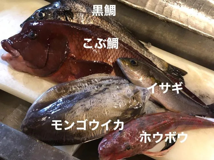 2/28仕入れ✨