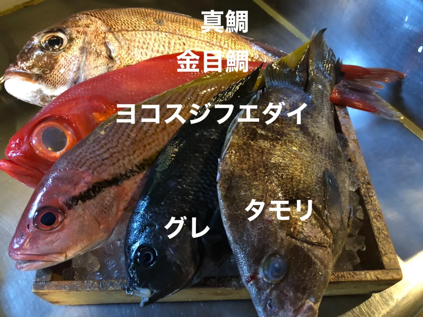 5/7仕入れ✨