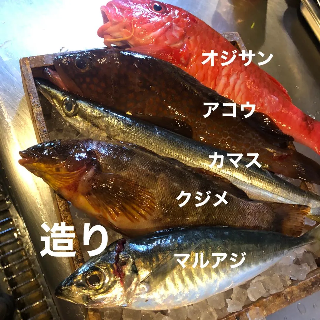 5/11仕入れ✨