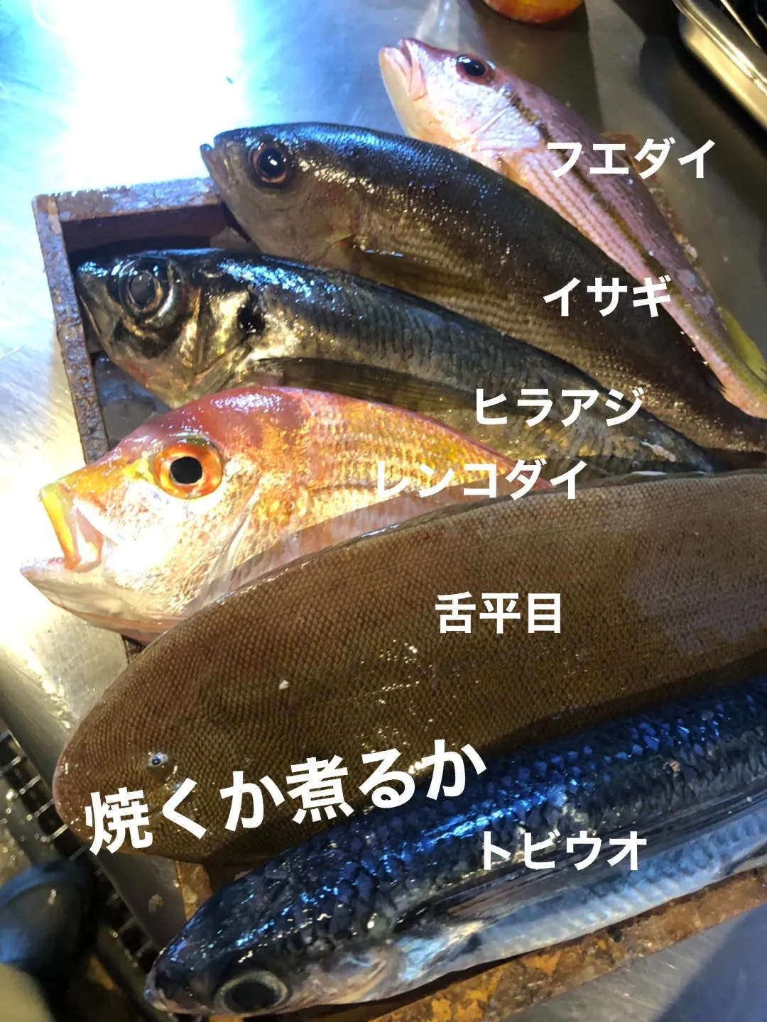5/11仕入れ✨