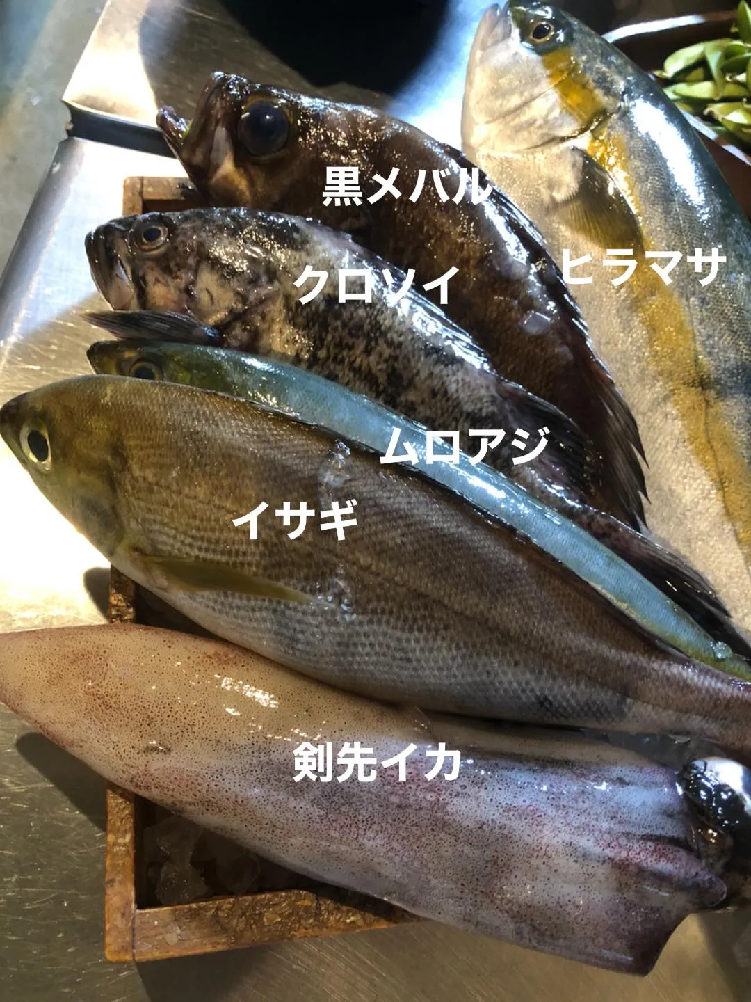 6/4仕入れ✨