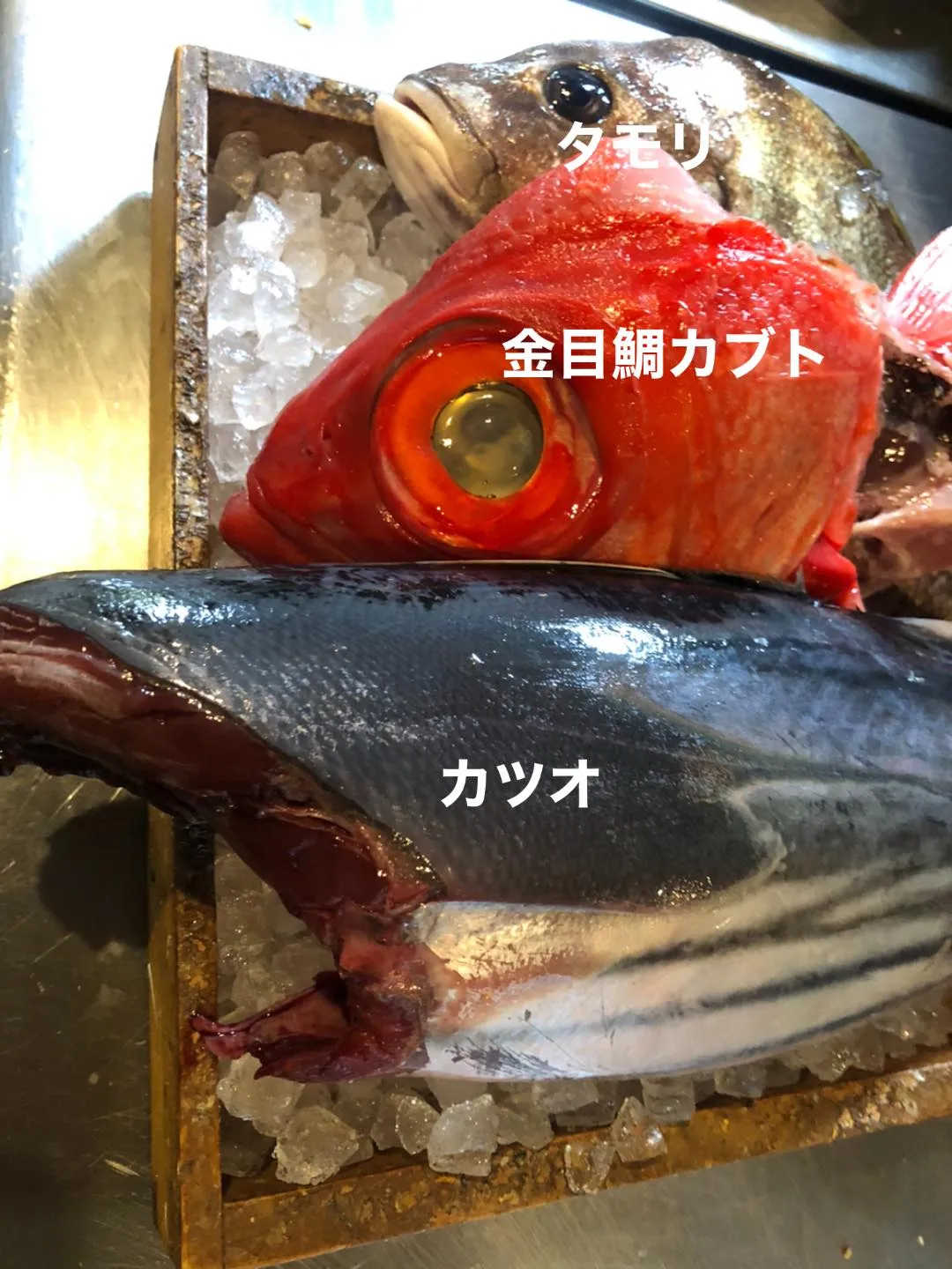 6/6仕入れ✨