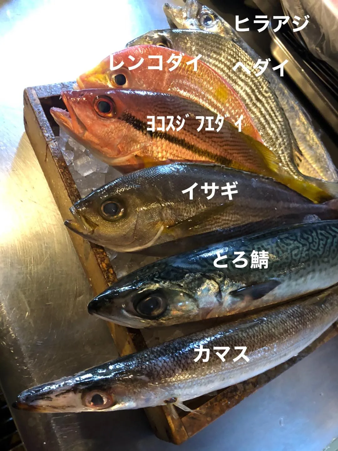 6/11仕入れ✨