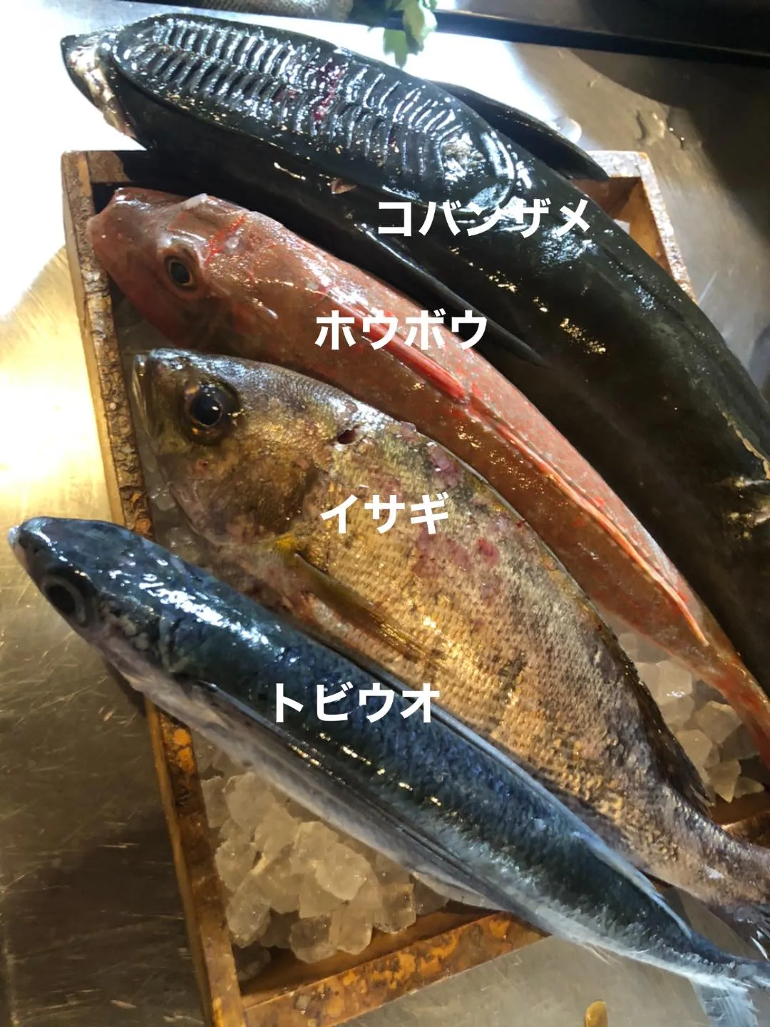 6/15仕入れ✨
