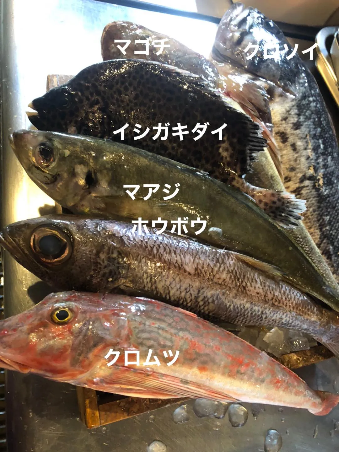6/18仕入れ✨