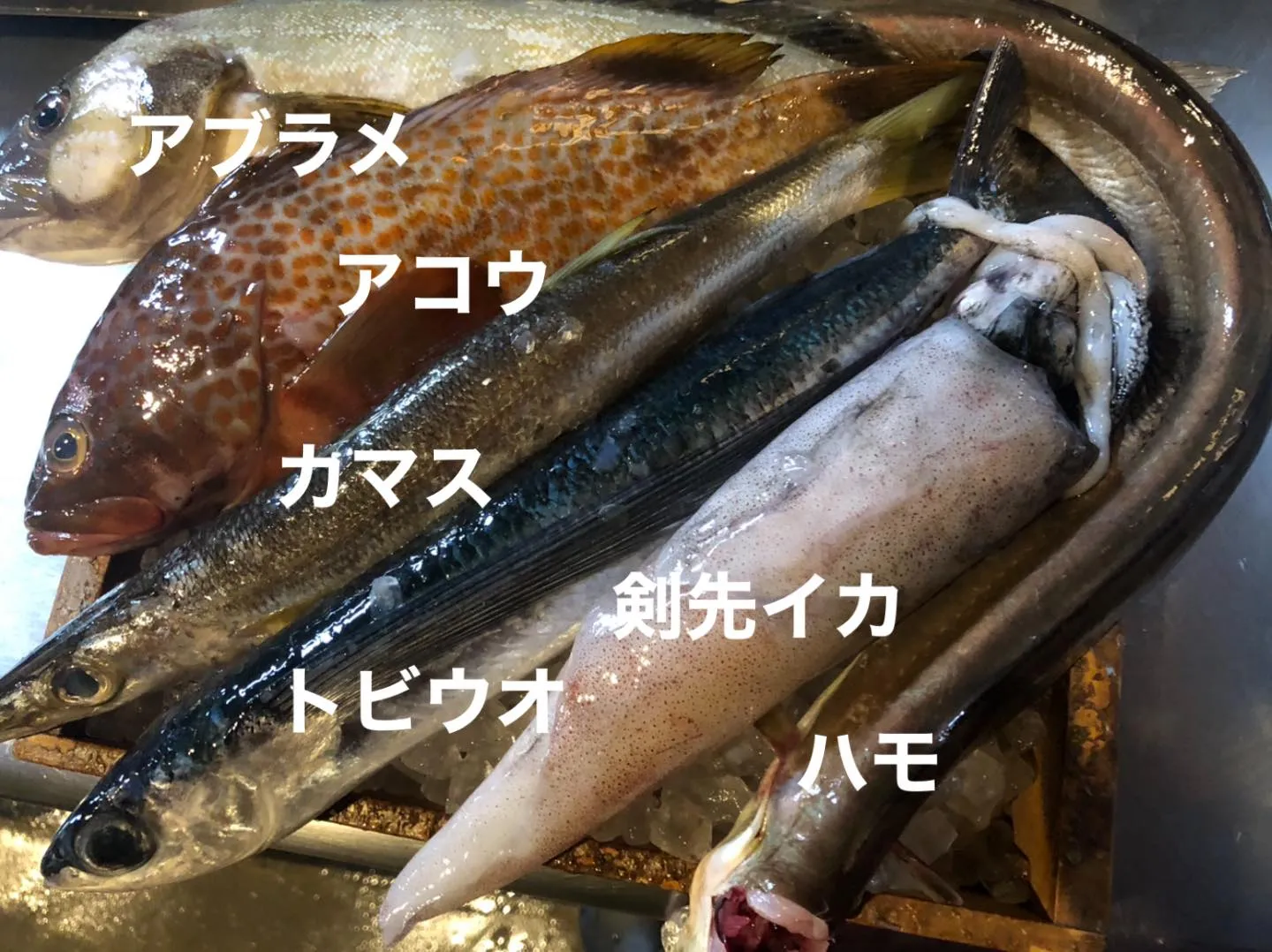 6/27仕入れ✨