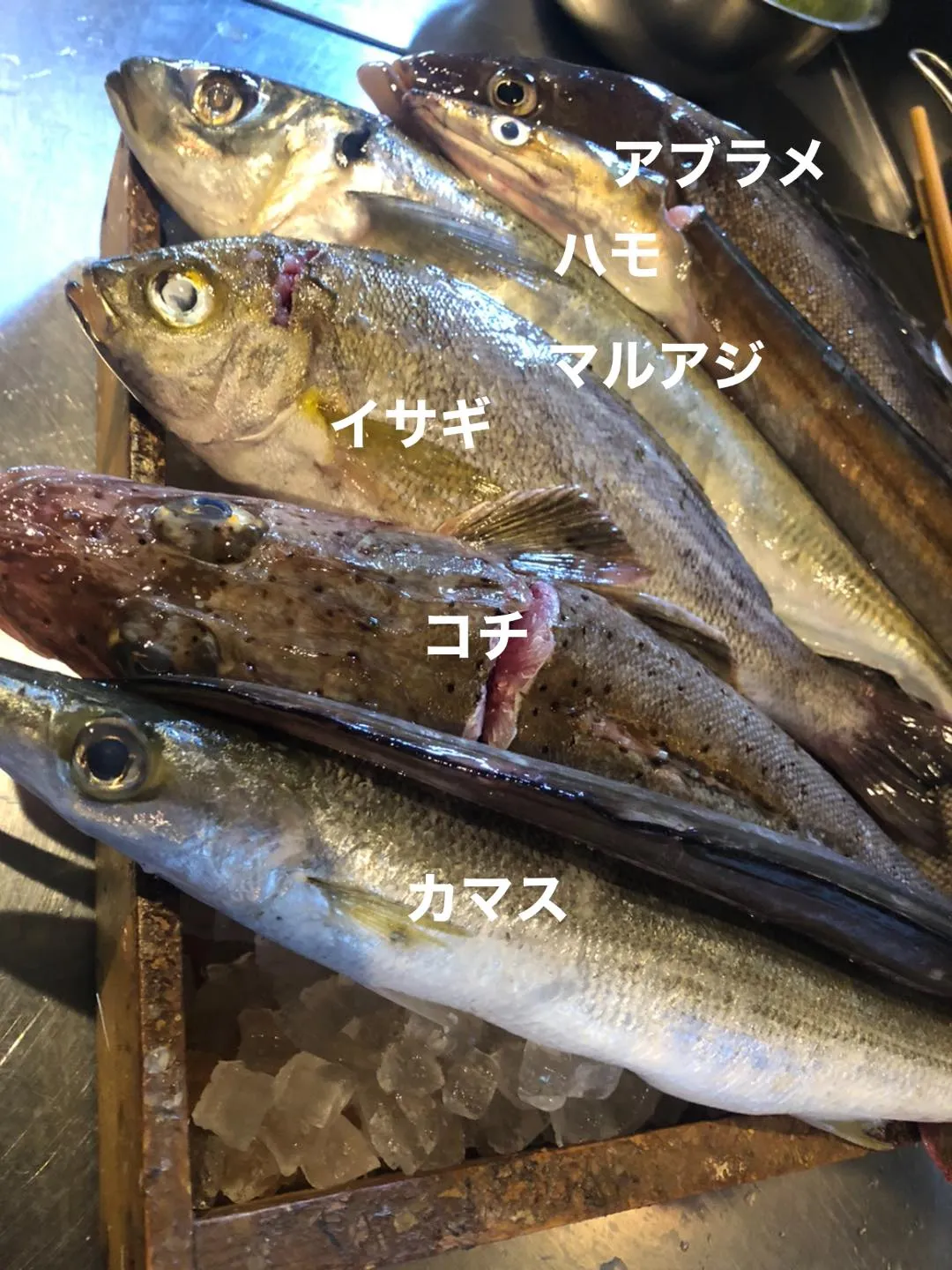 6/29仕入れ✨