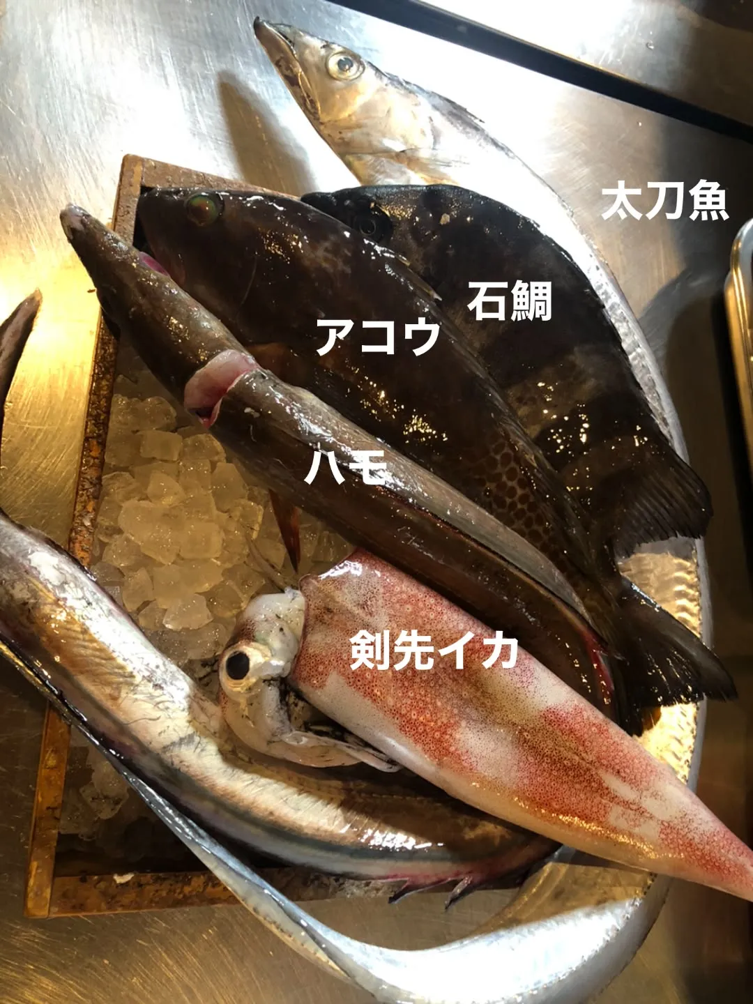 8/17仕入れ✨