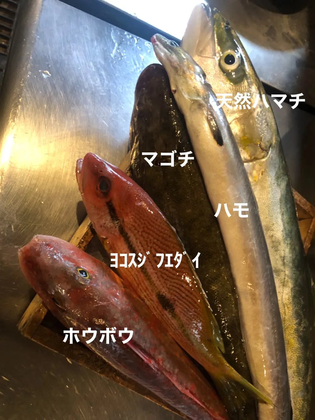 8/20仕入れ✨