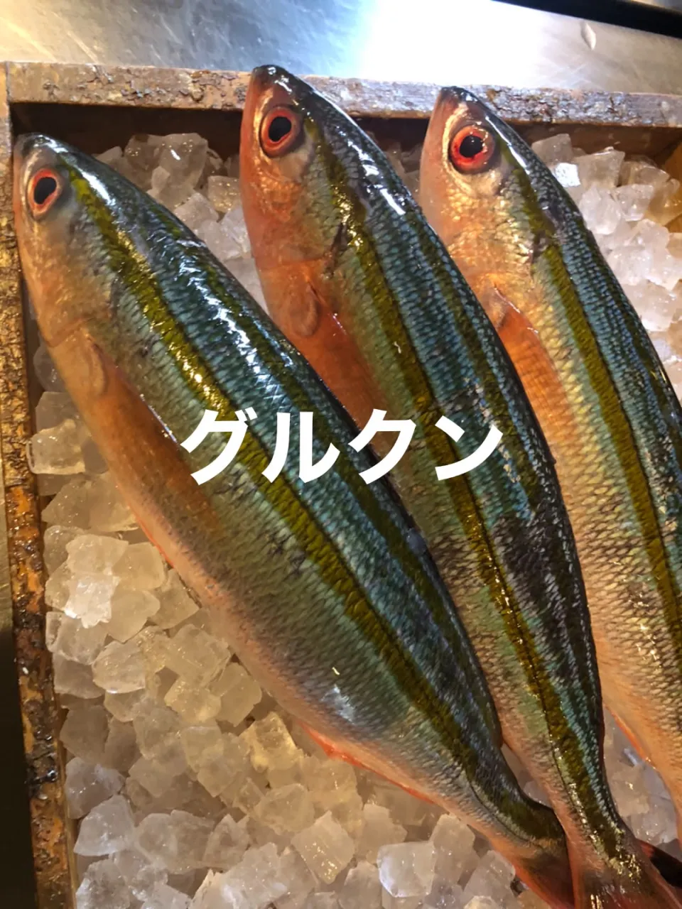 9/25仕入れ✨