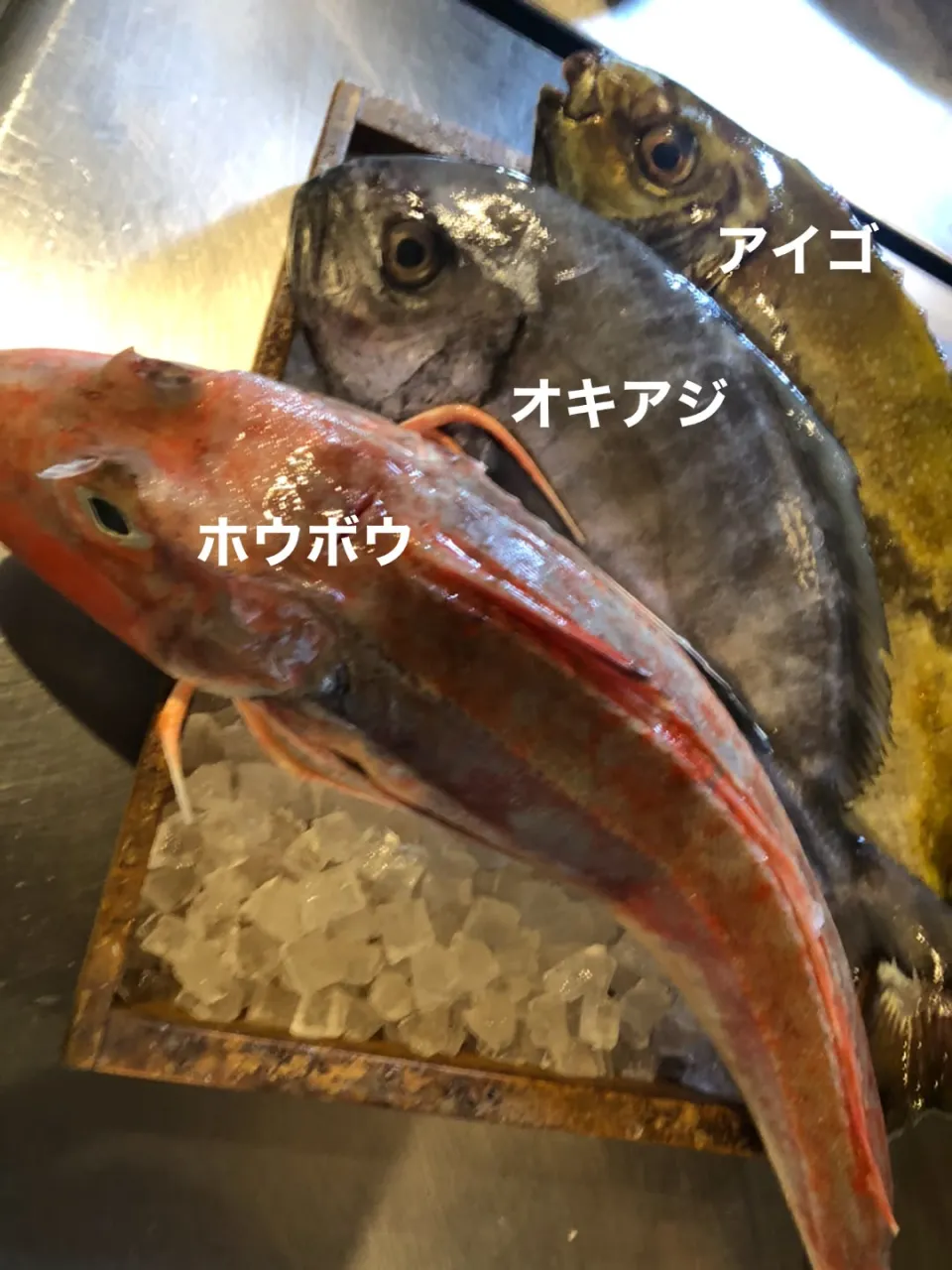 9/25仕入れ✨