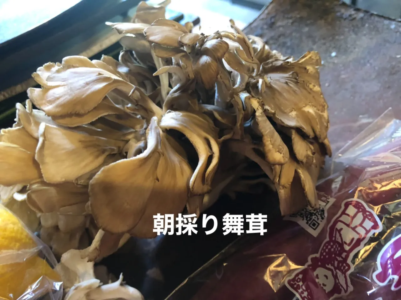 9/25仕入れ✨