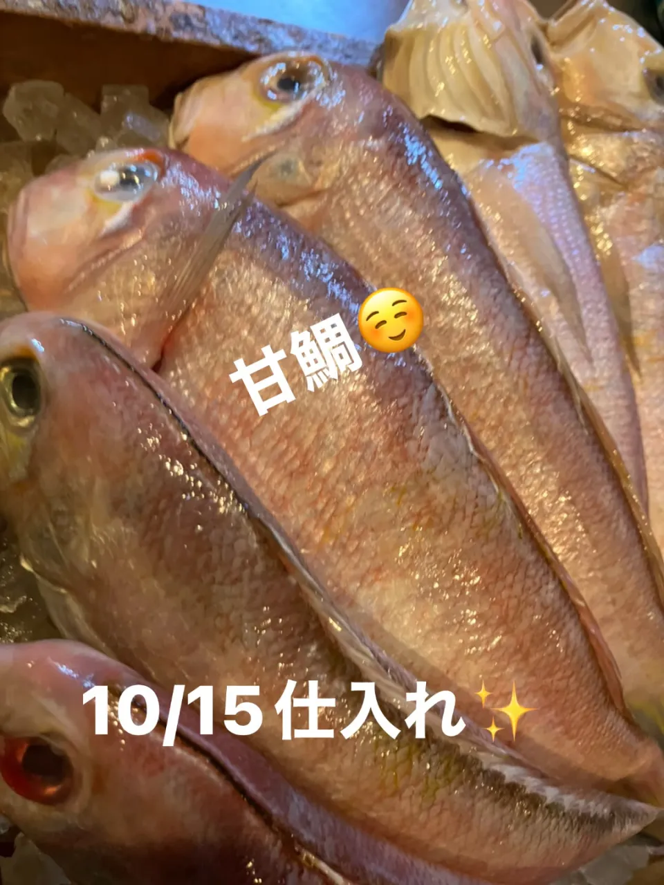 甘鯛が安かったので大量入荷しました😎