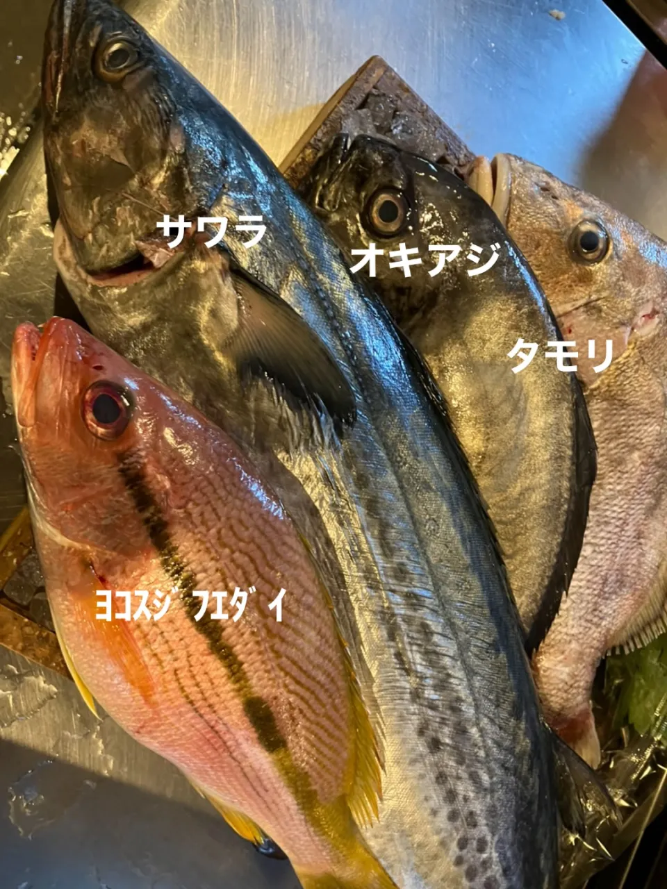 甘鯛が安かったので大量入荷しました😎
