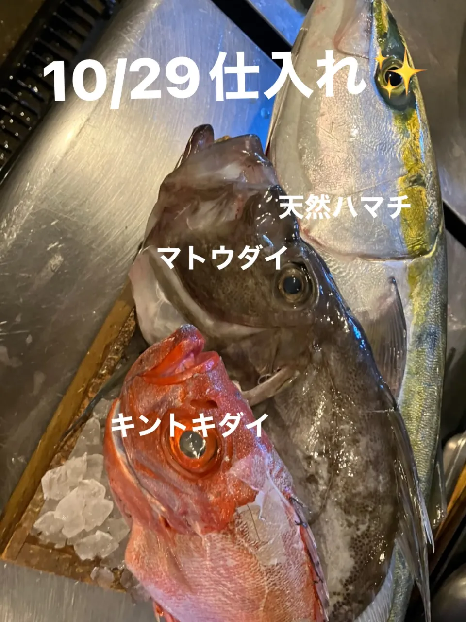 昨日とうってかわって寒い🥶