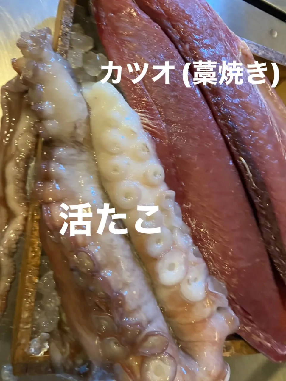 昨日とうってかわって寒い🥶